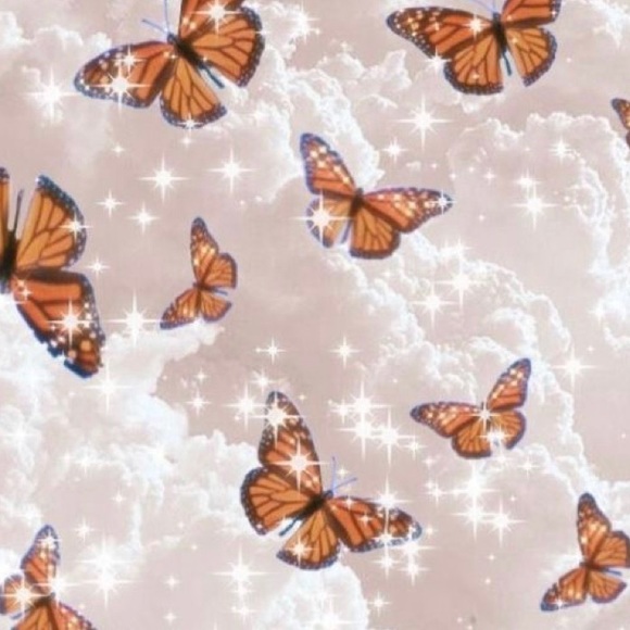 Meet your Posher, Lexie - Picture 1 of 1